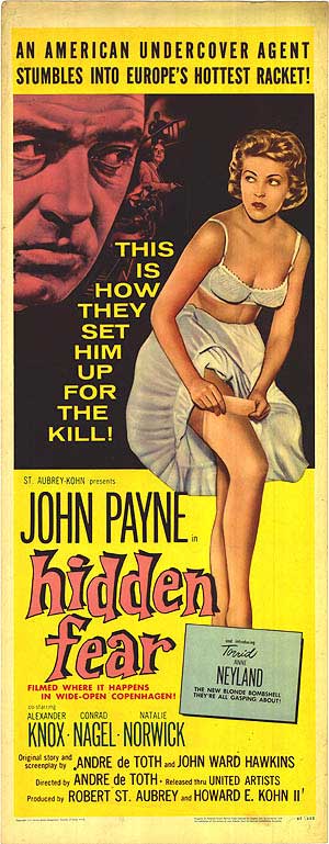 hidden fear poster 2.jpg